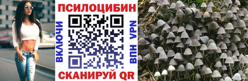 Галлюциногенные грибы MAGIC MUSHROOMS  купить  цена  Ардатов 